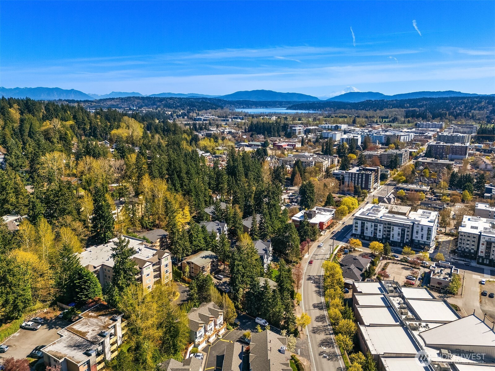 Transit options abound, minutes to routes 545, 542, 250, 903 & the B line