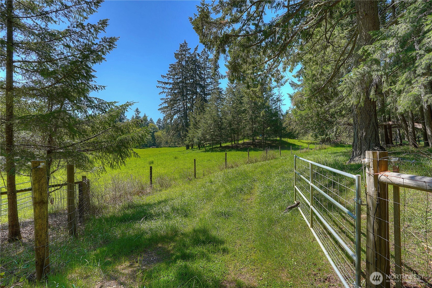 Pasture