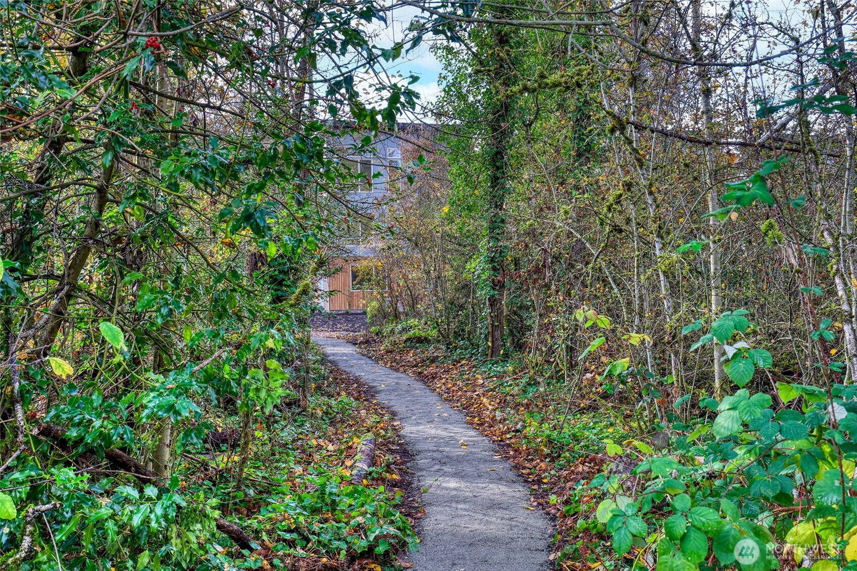 Trail Entry