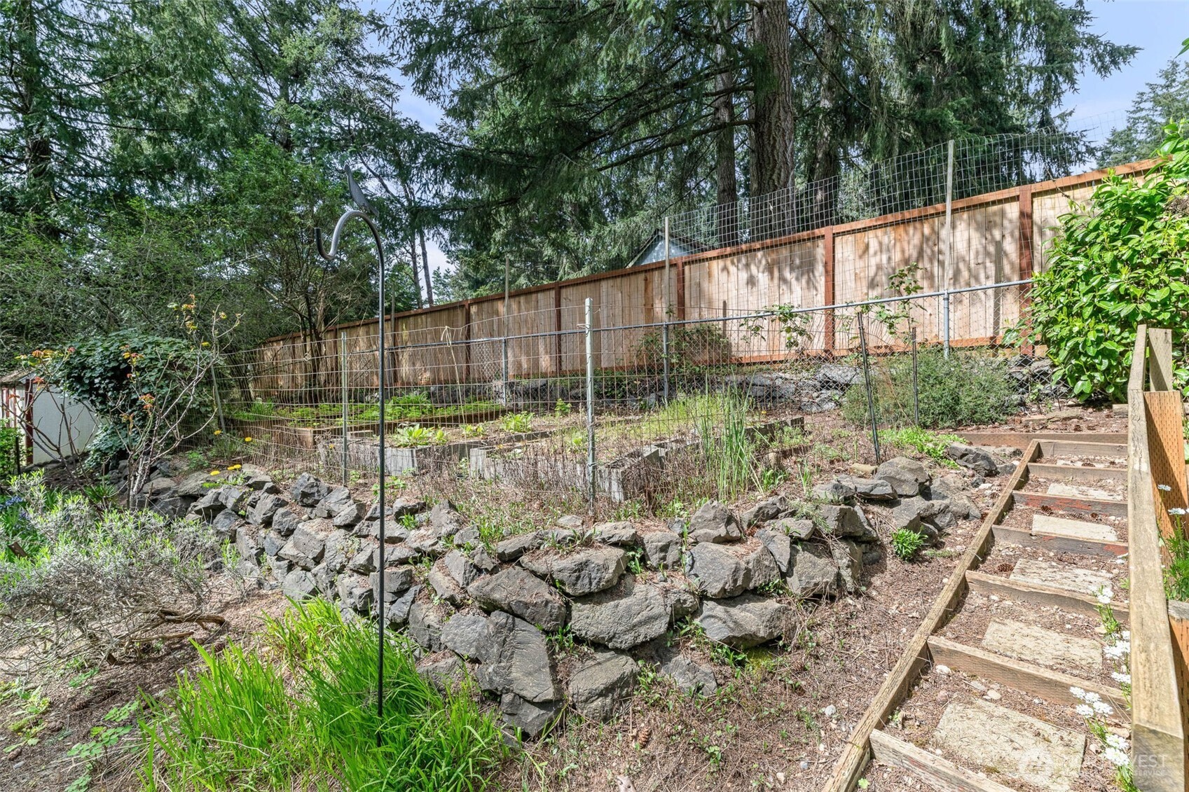 Garden beds backyard