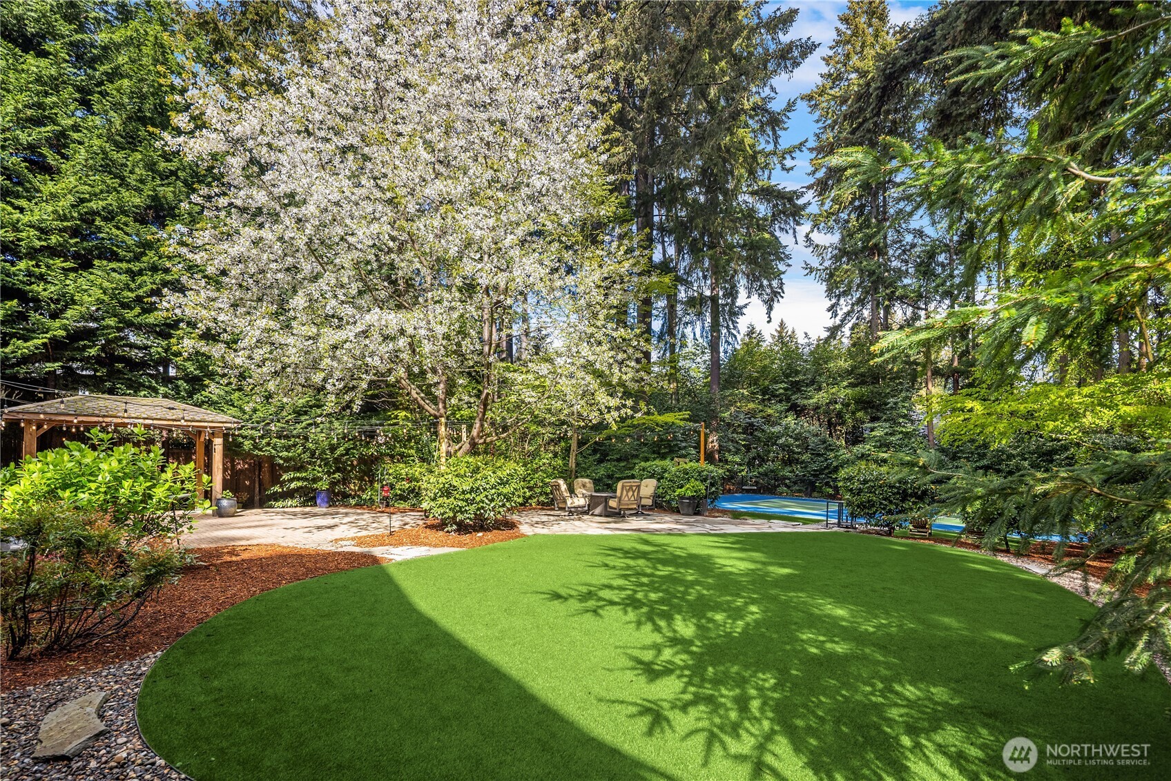 Turf backyard