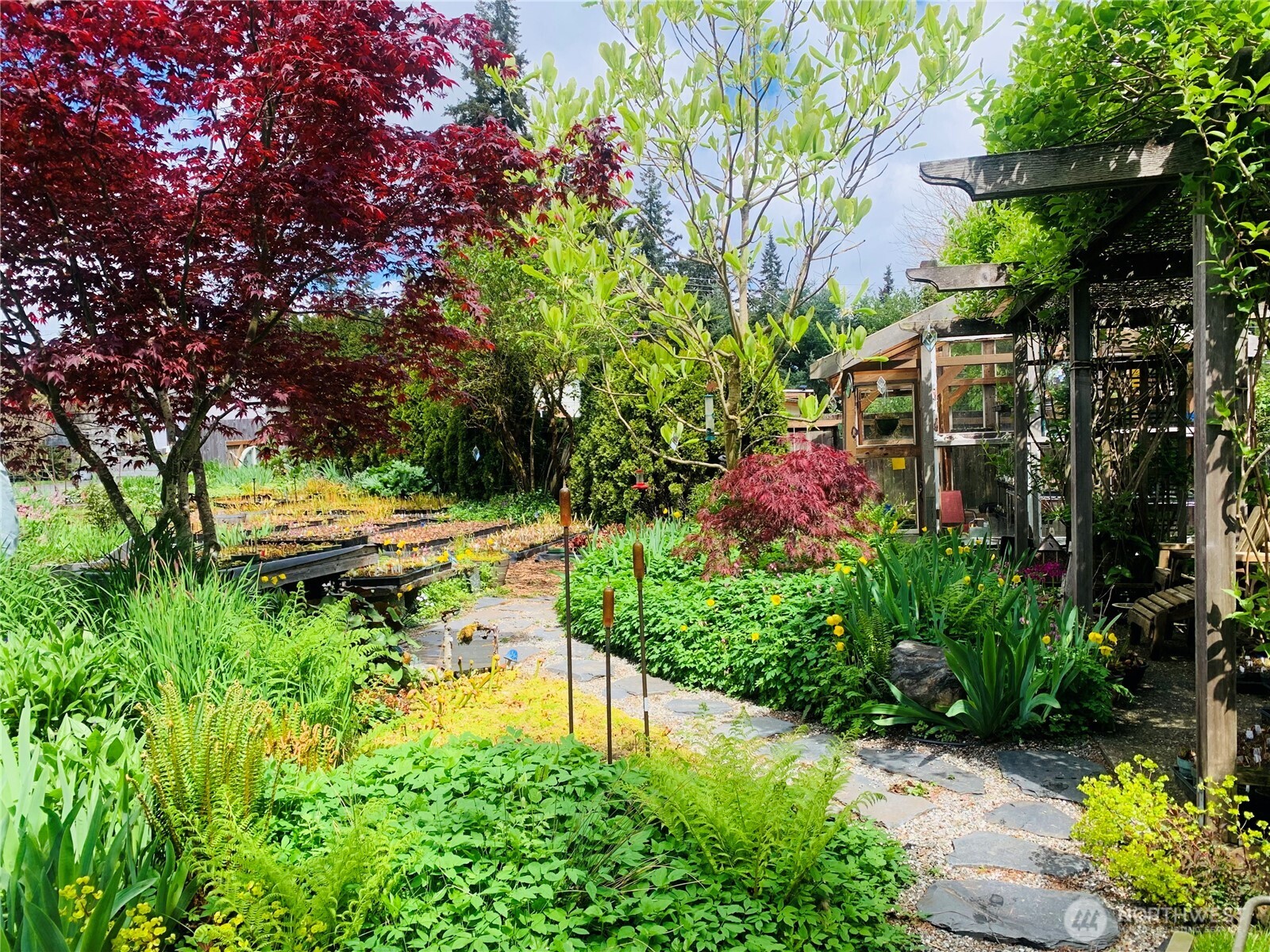 A single garlic bed alone yields an impressive 40–50 lbs at harvest.