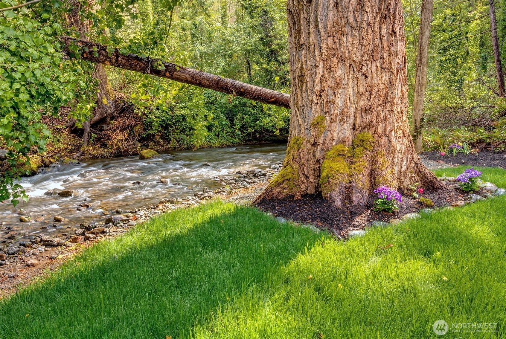 Another view of the the backyard creek.