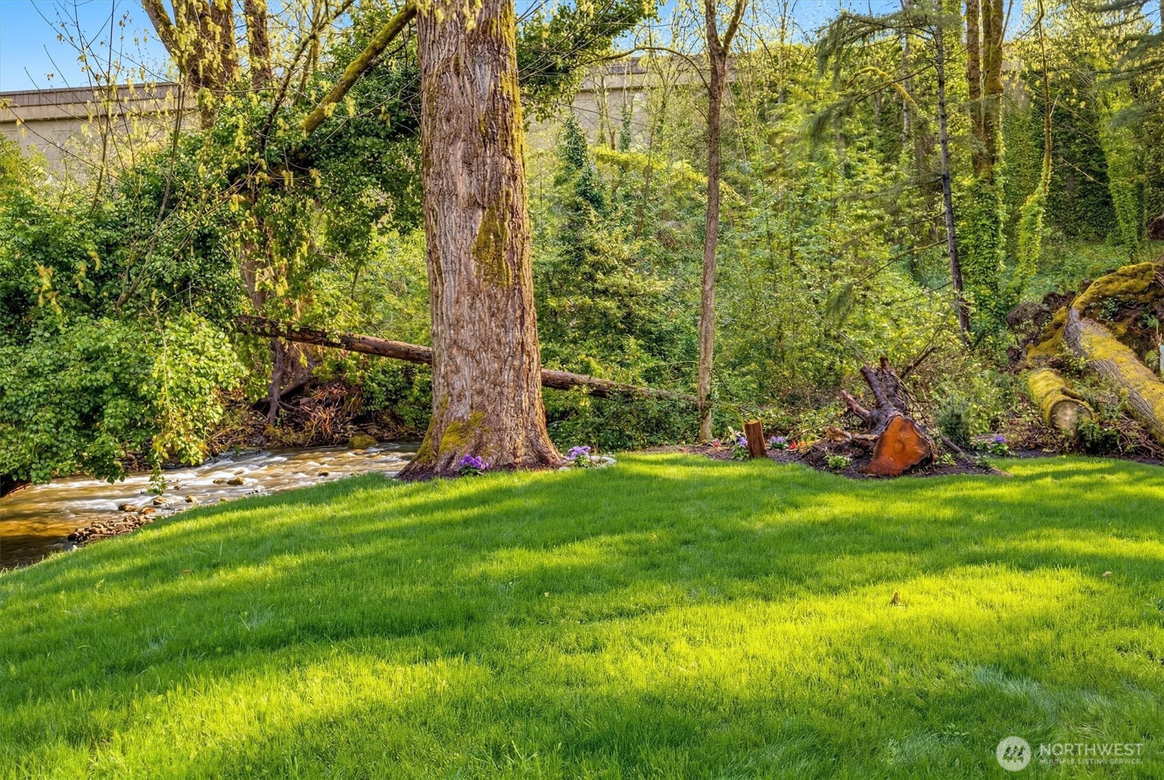 Backyard with expansive deck for outdoor living.
