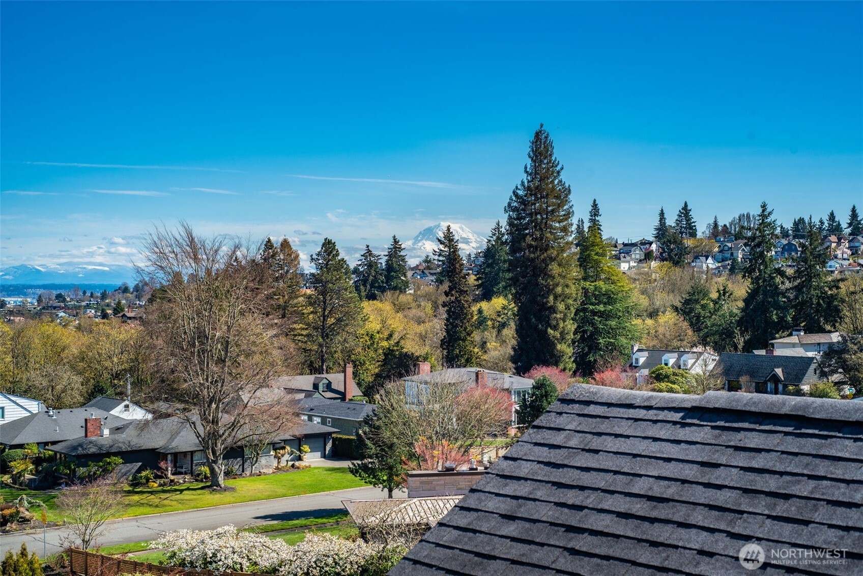 Incredible views of Mt. Rainier.