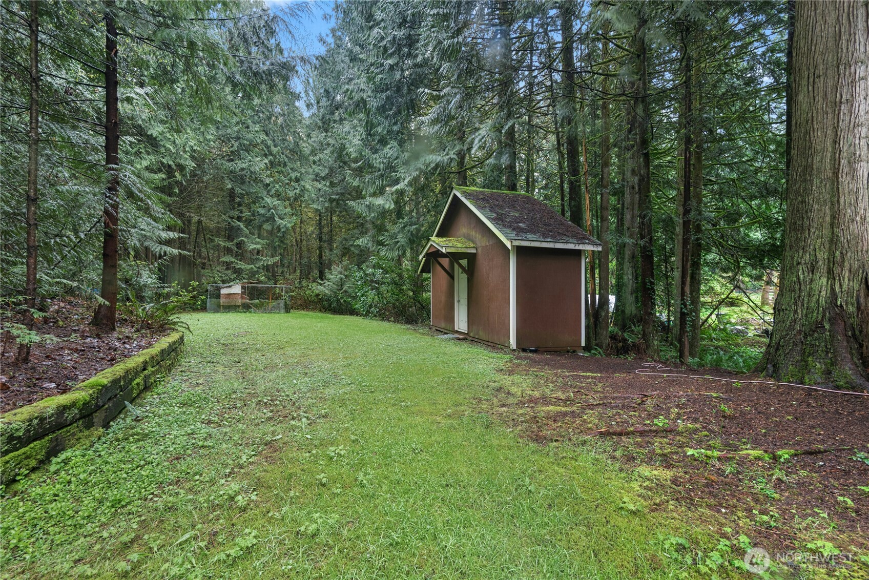 Looking onto your grassy lawn and chicken coop!