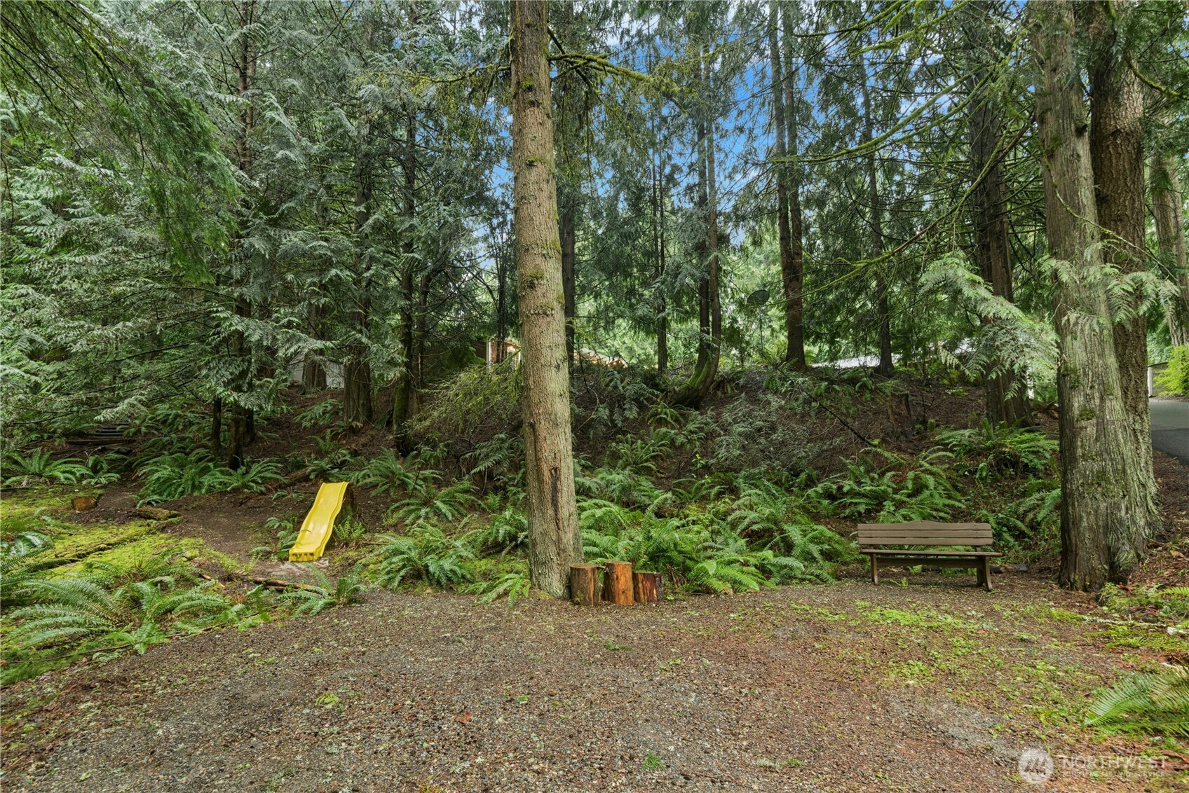 So many possibilities with this lower front portion of the lot!