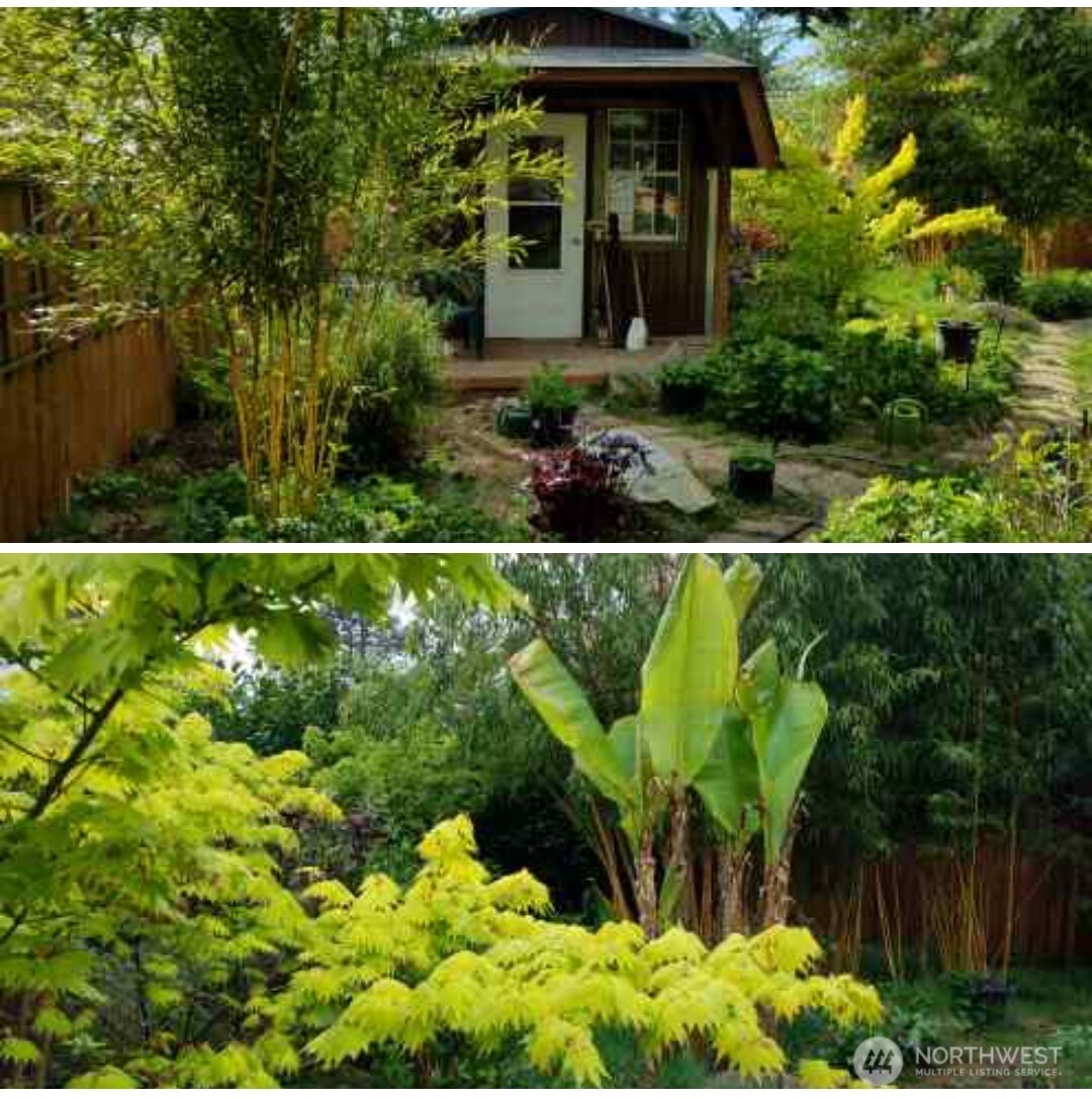 Garden in bloom