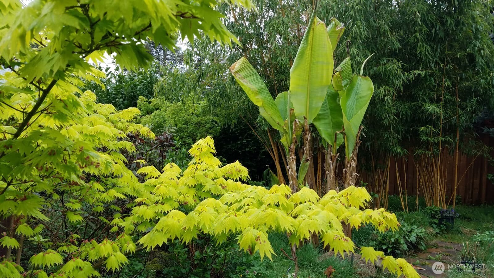 Garden in Bloom