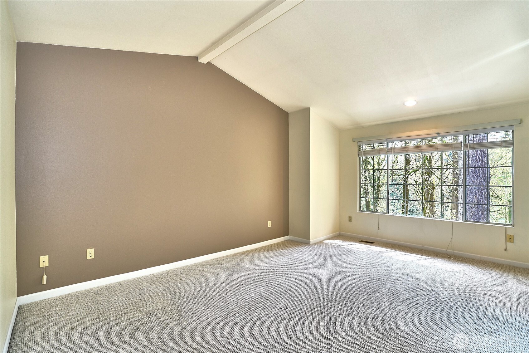 The generously sized primary bedroom with vaulted ceiling is enhanced by the view of the backyard greenbelt.