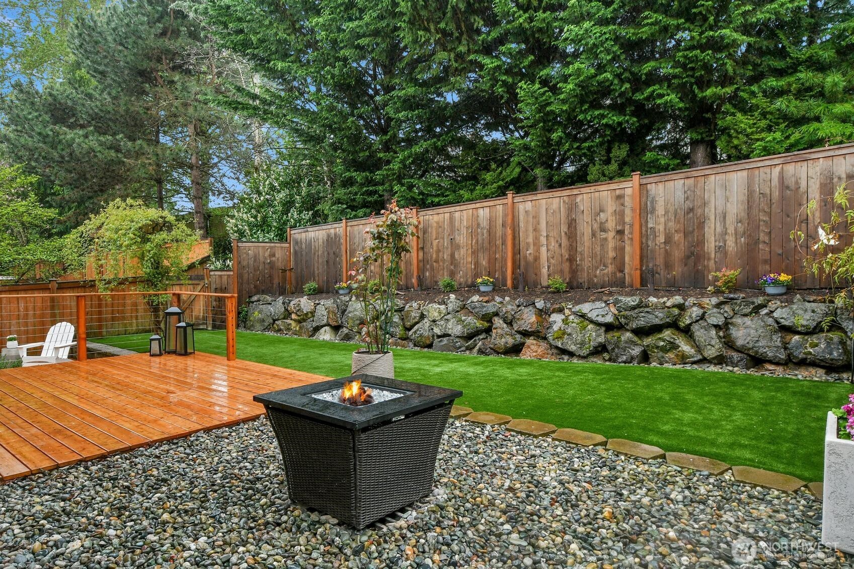 Backyard View 2