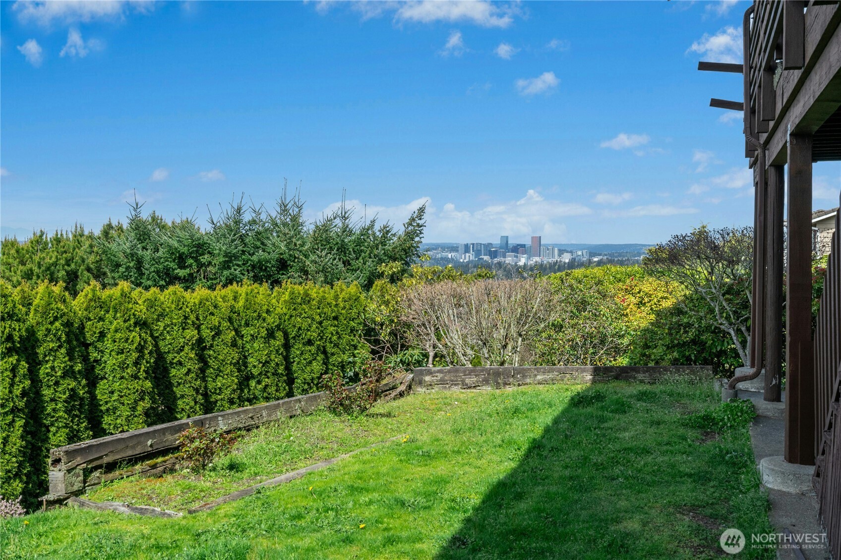 Bellevue skyline views from the backyard