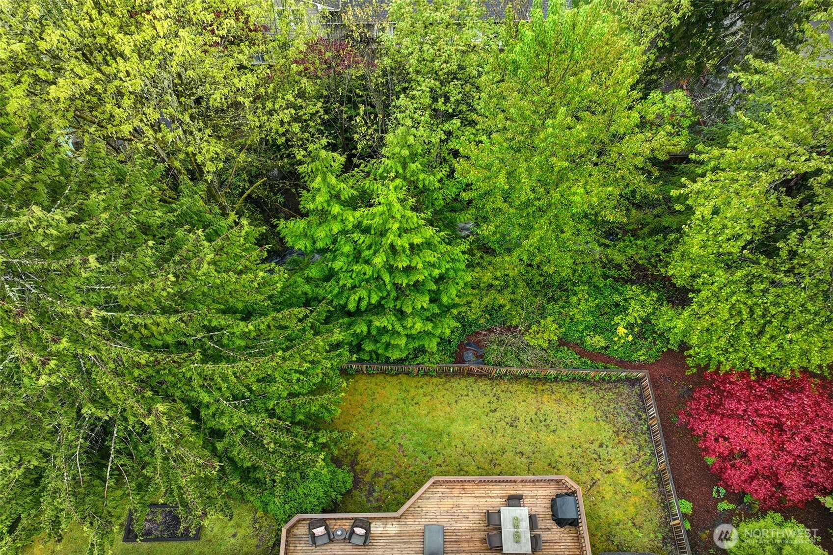 Aerial view of back yard and creek