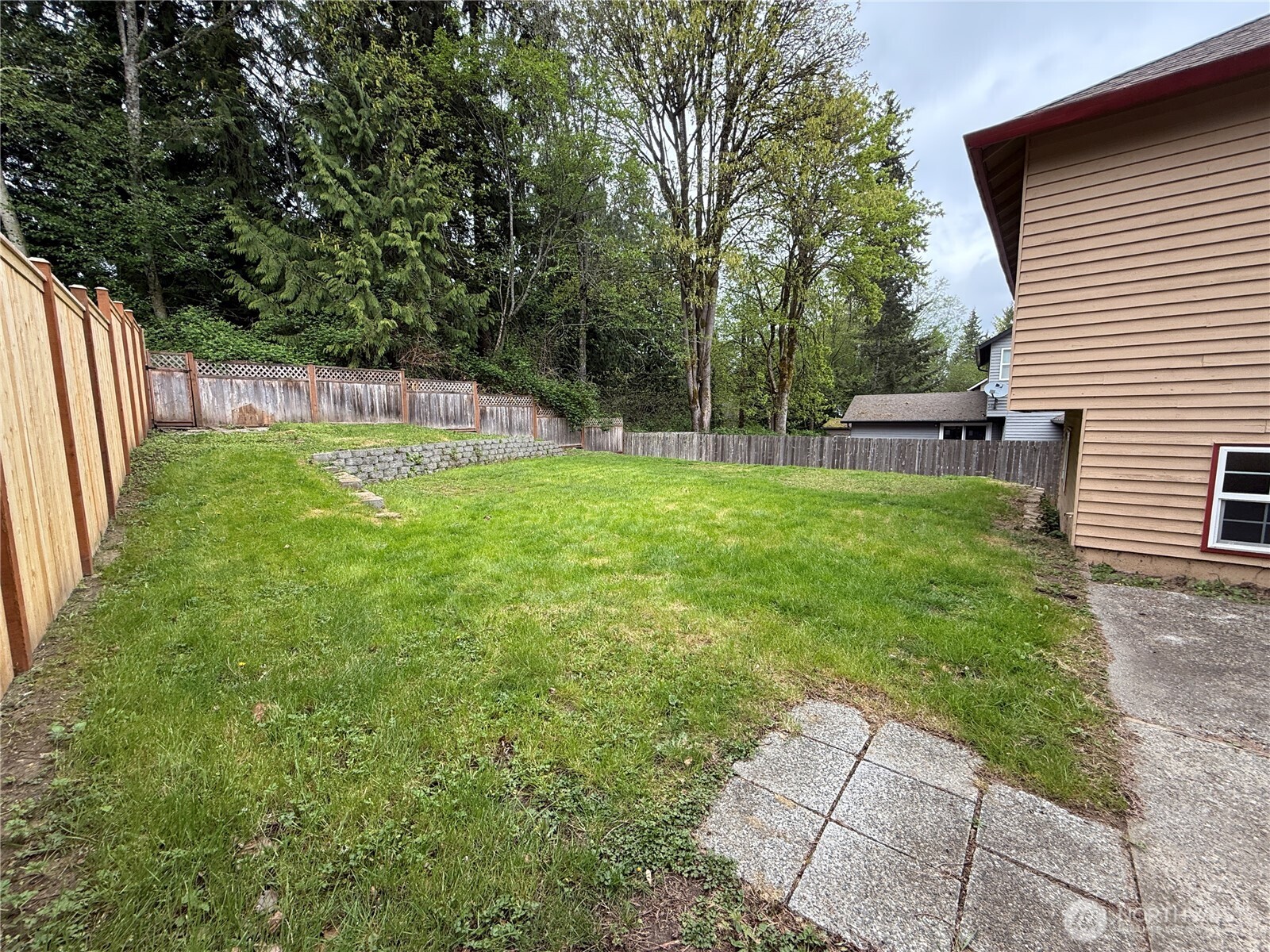 Back yard