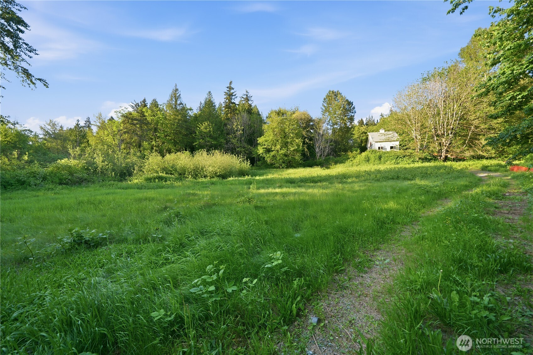 Current open pasture / field space, ready for you to make your own!