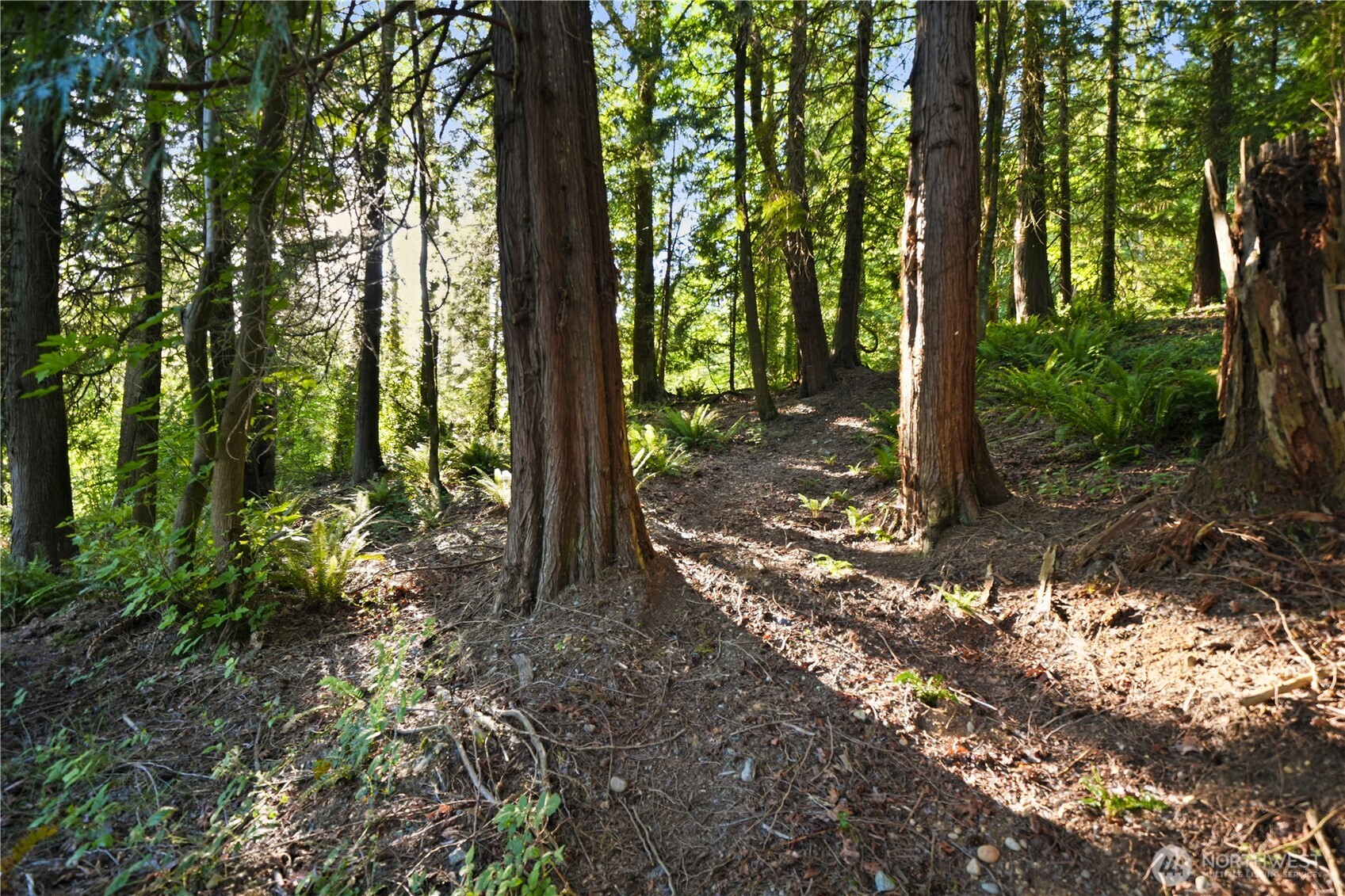 Just a glimpse of your own private forest and riding trails.