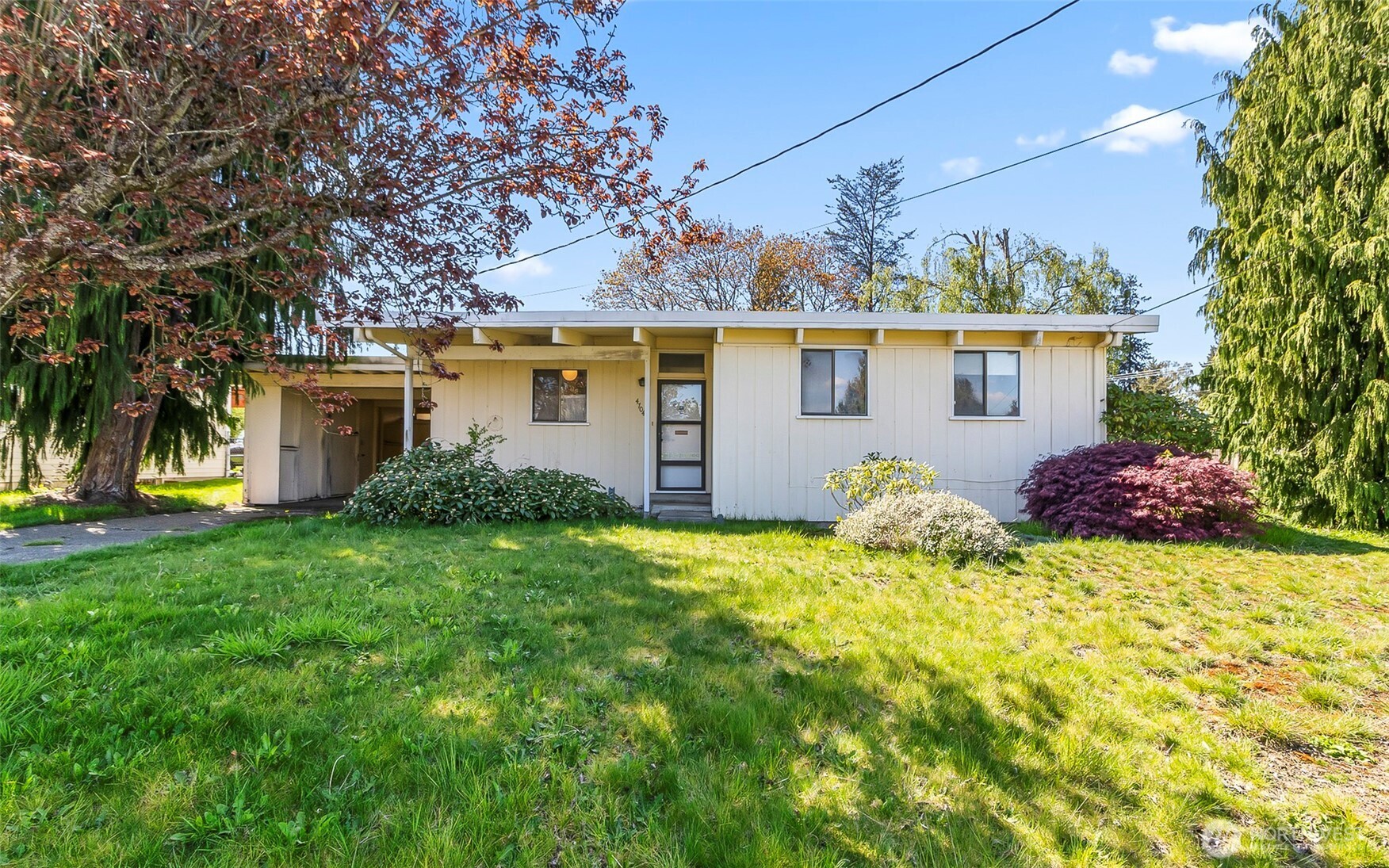 This Sweet Home is a "Monte Cristo" Award just waiting to Happen~Is that Award looking for YOU?!