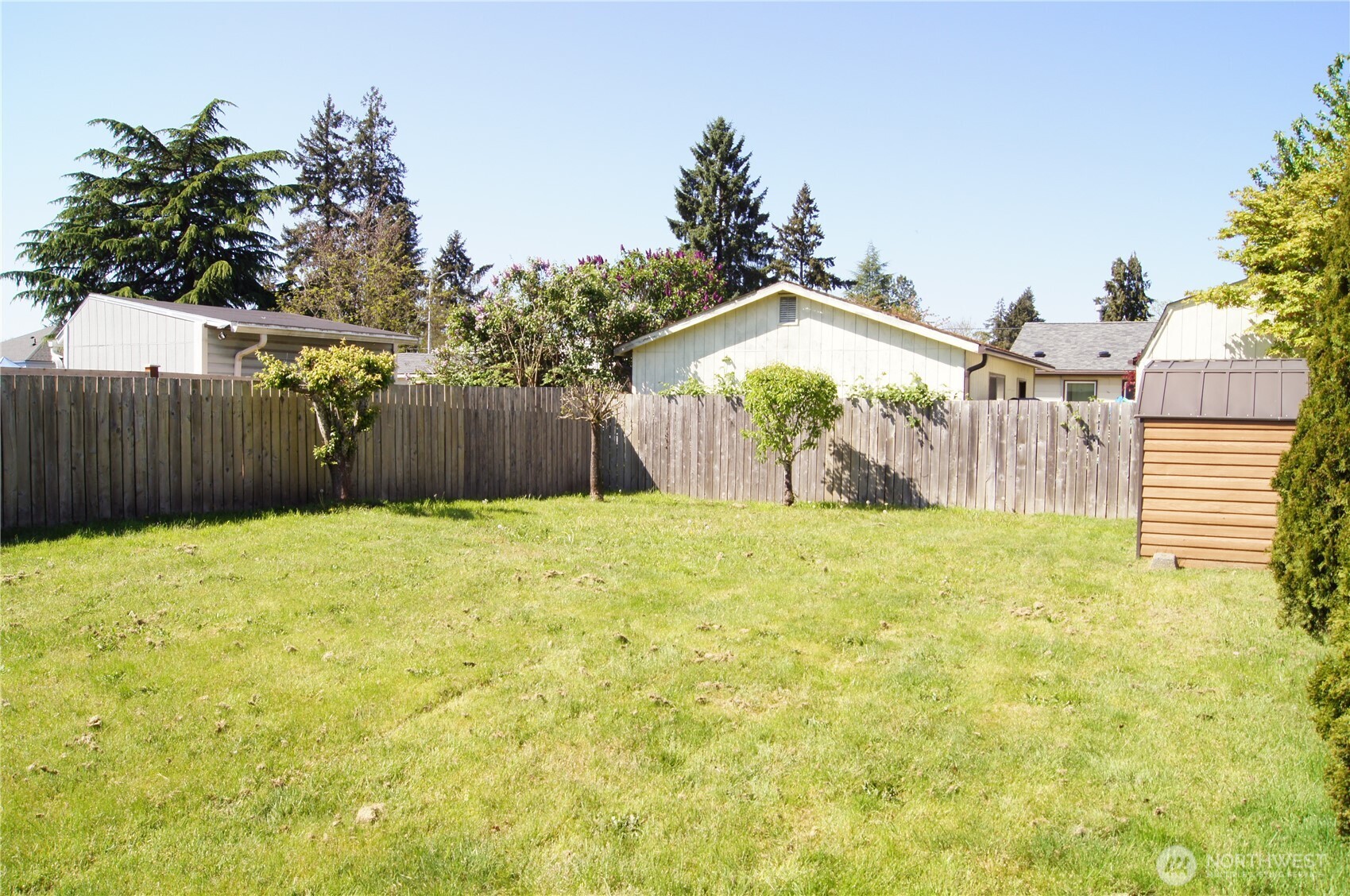 Backyard with fruit trees