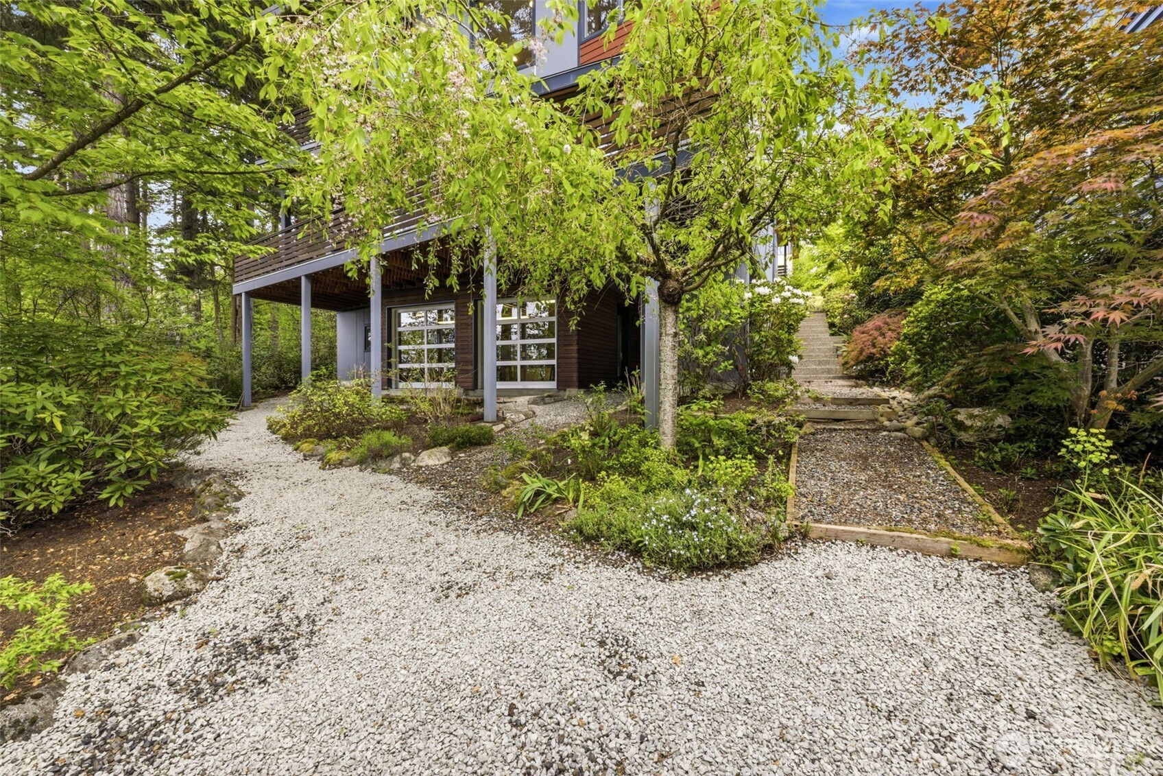 Established garden with fruit trees, grapevines, raspberries, Japanese maples,for privacy, and rhododendrons from around the world.