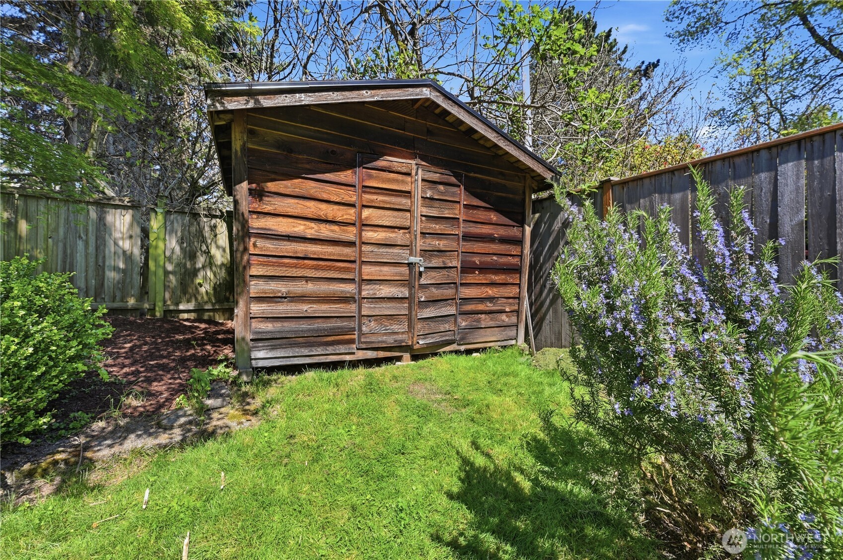 backyard shed
