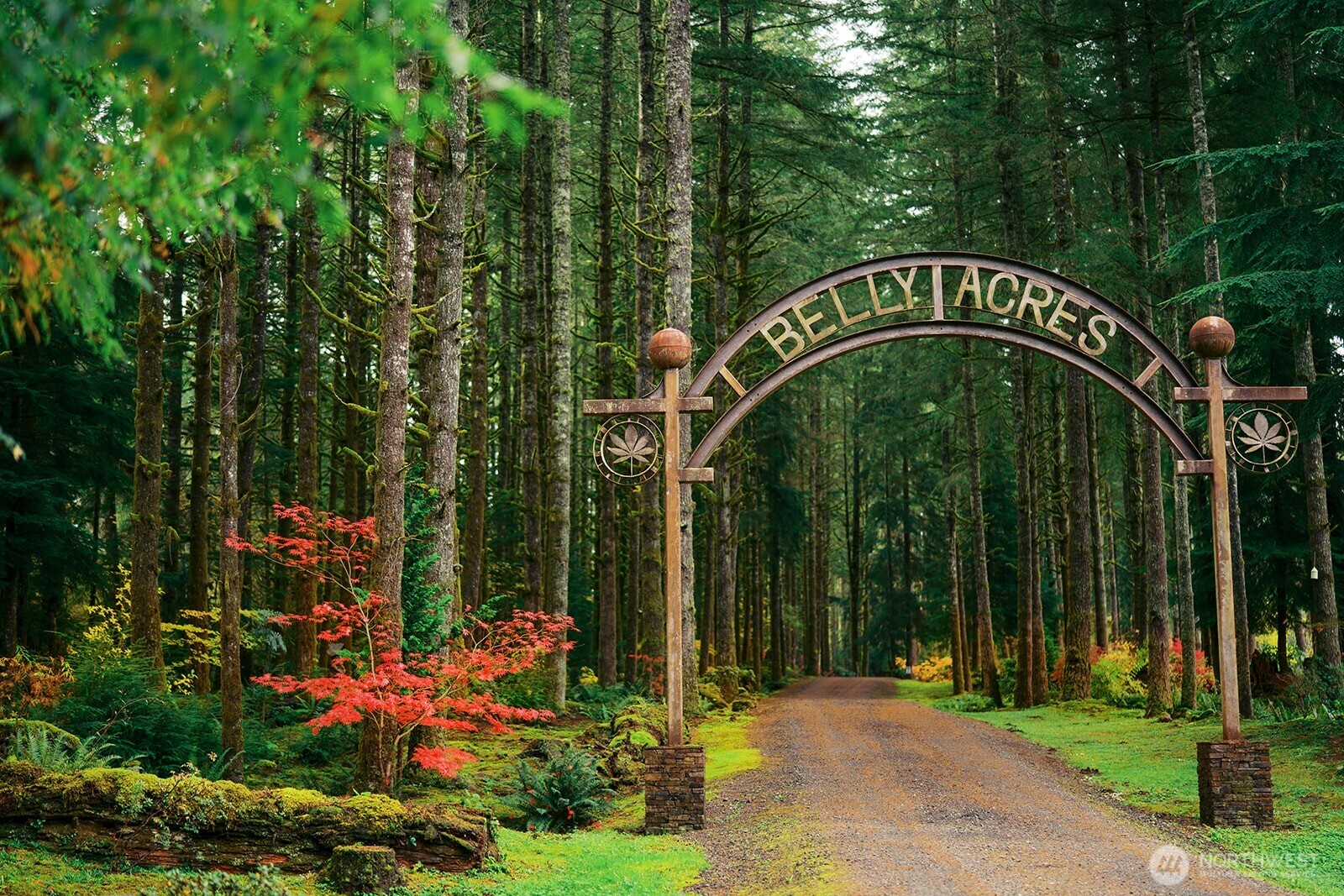 Gated & Private  Drive