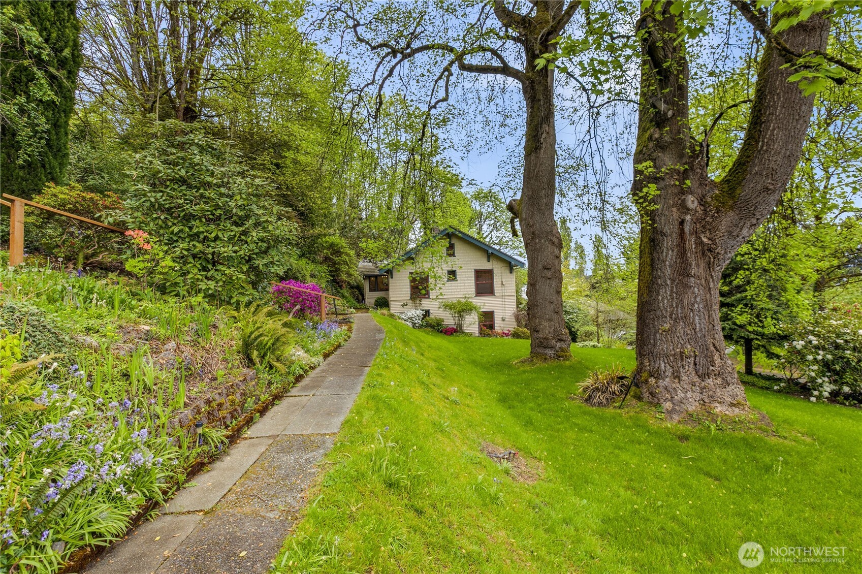 Large Lot Beneath Heritage Trees