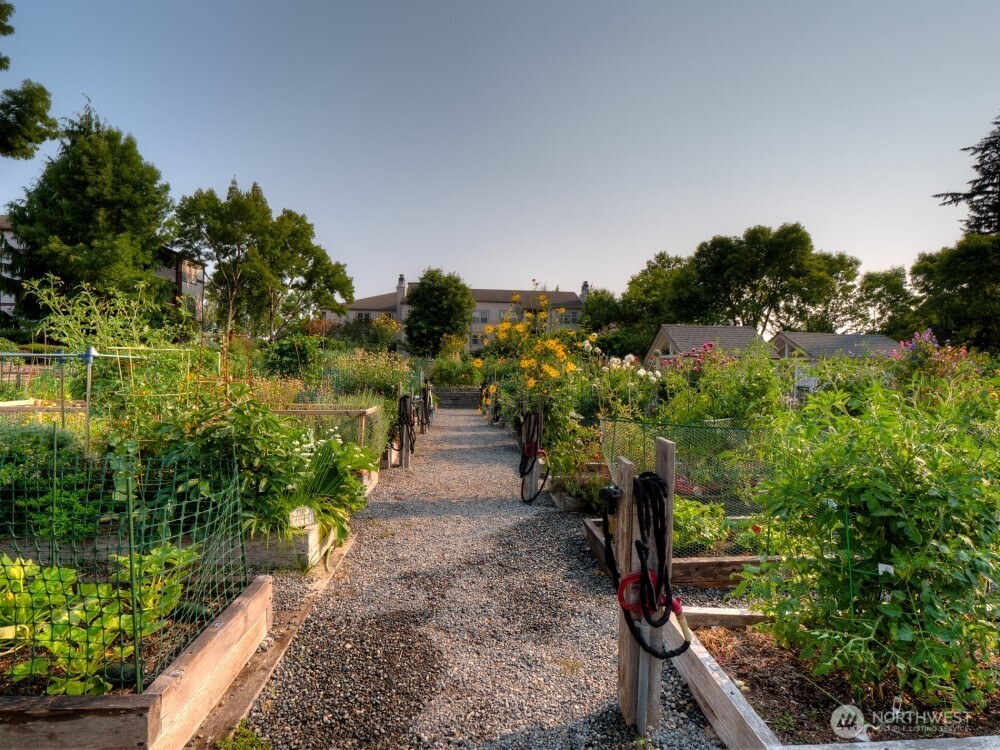Enjoy a shared gardening space where residents can rent or tend individual plots to grow their own vegetables, herbs, and flowers — the classic "pea patch" model common in the Pacific Northwest!