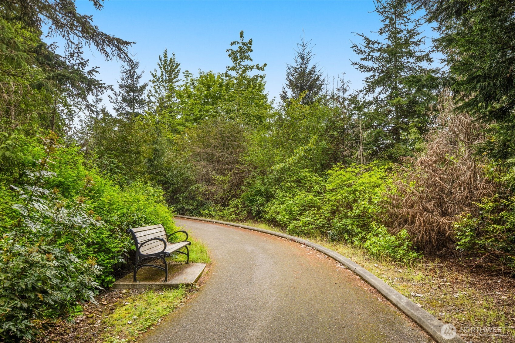 Bike/walk to Microsoft or Kirkland