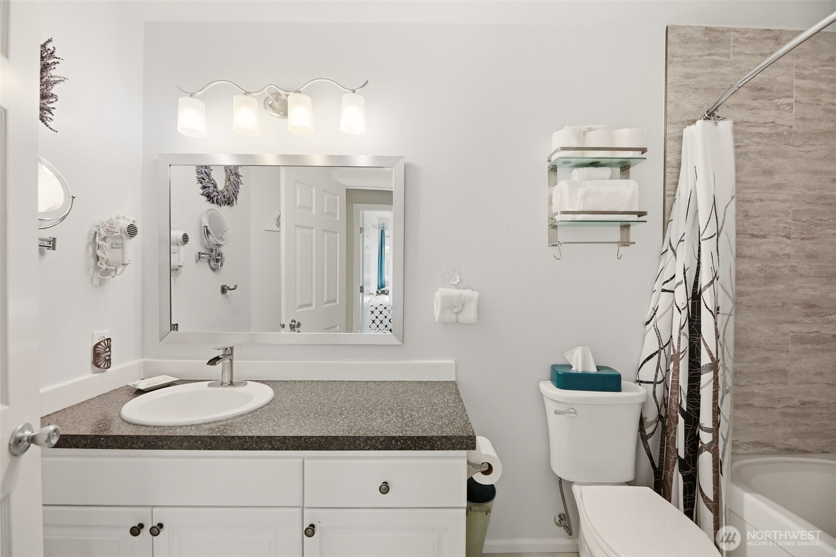 Bathroom Lower Level