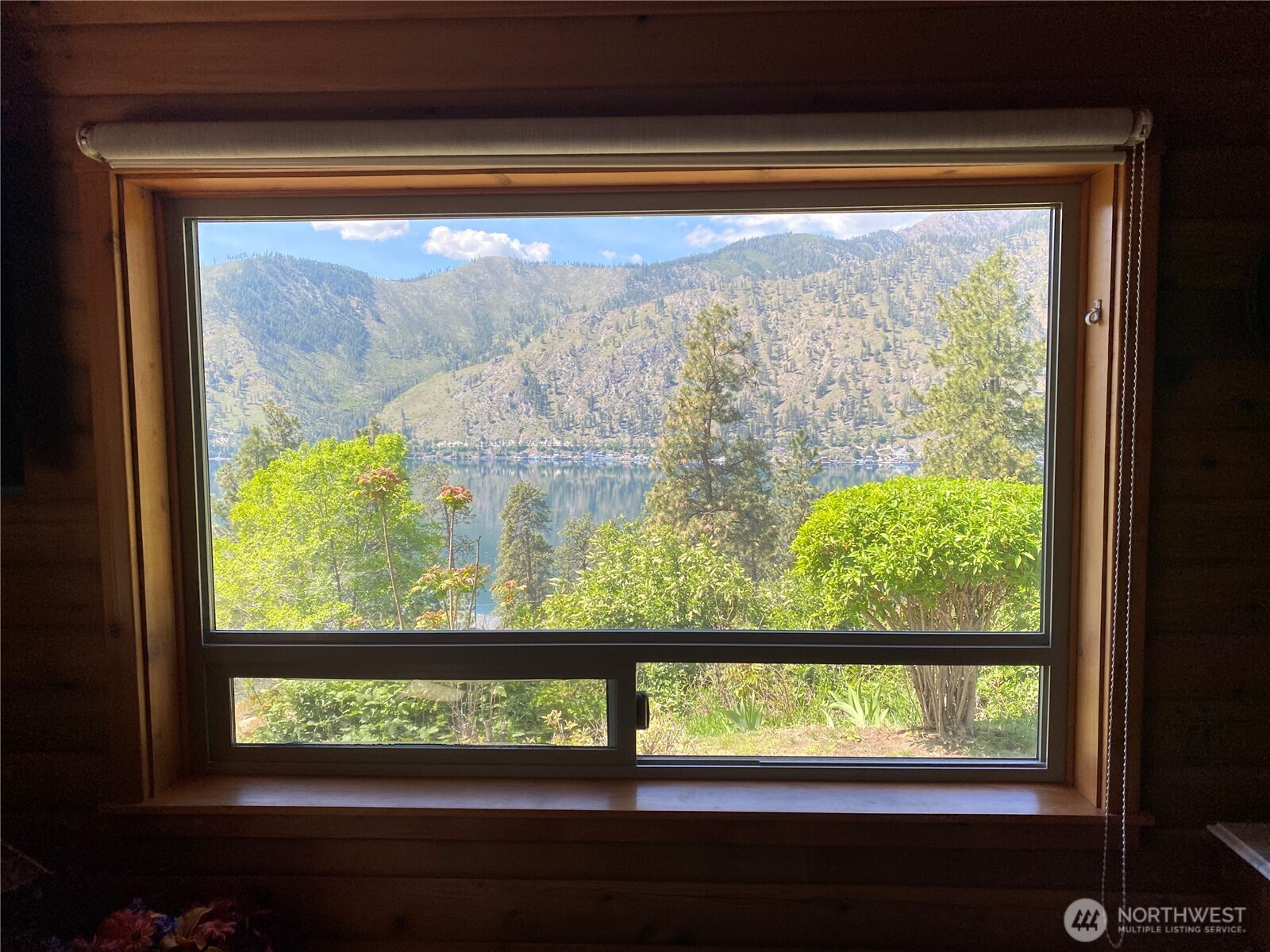 VIEW