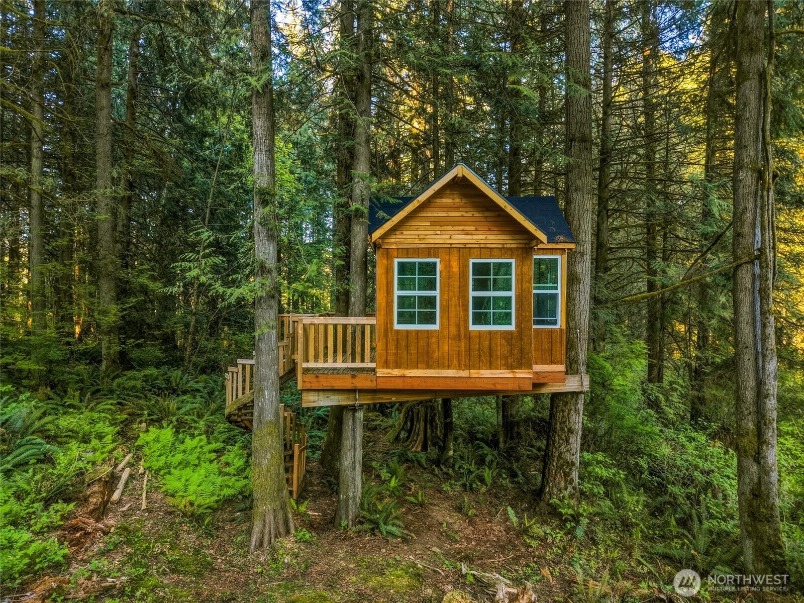 A custom-built treehouse (2026).