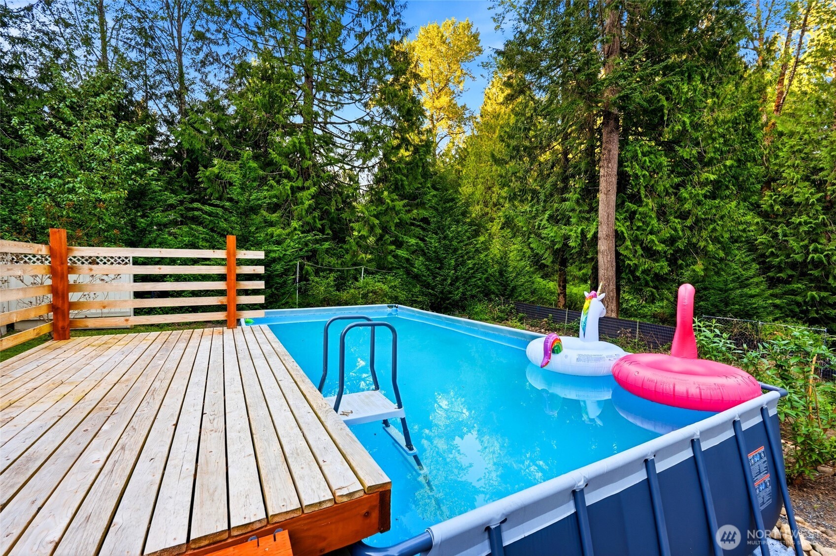 Dive in!