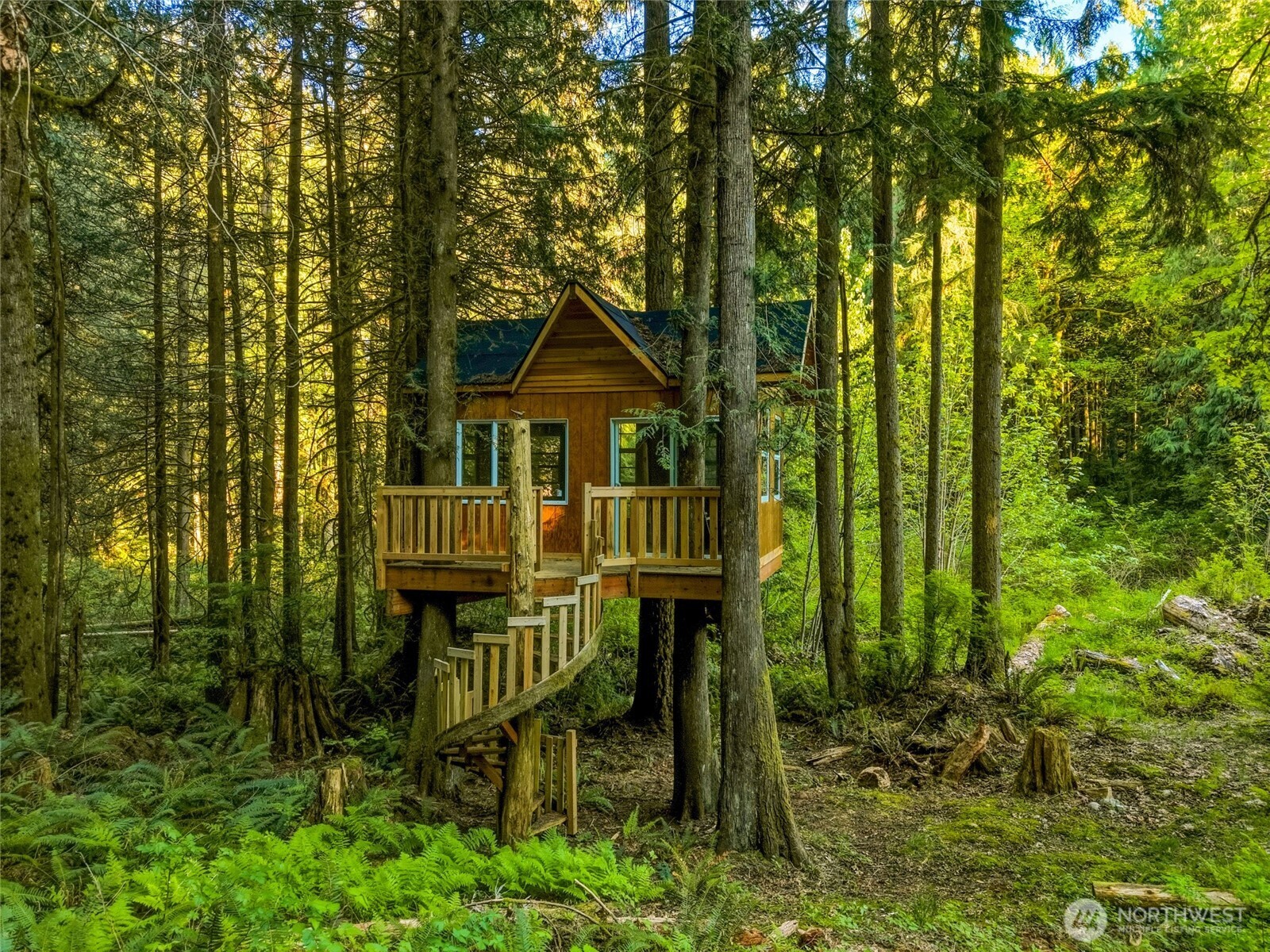 THE Treehouse designed by Pete Nelson of Treehouse Masters from Fall City, Washington!