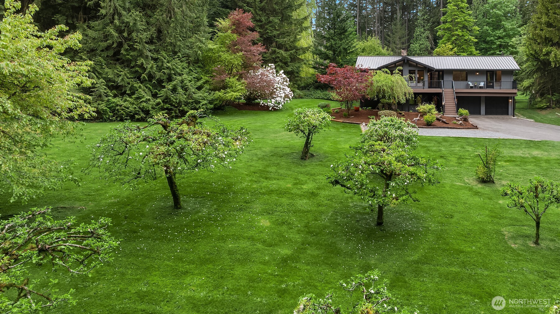 Lush forestry surrounds the home