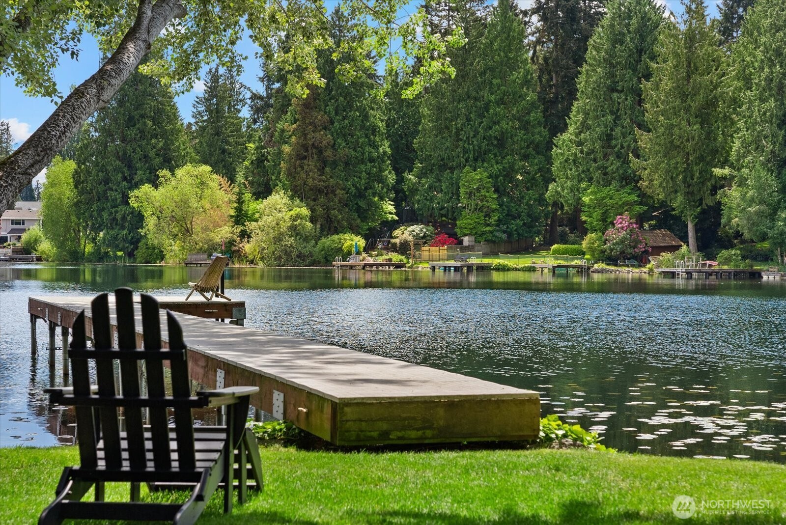 An oasis of serenity