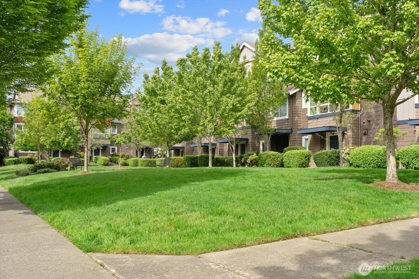 /NWM2519730/NWM2519730-30.jpg