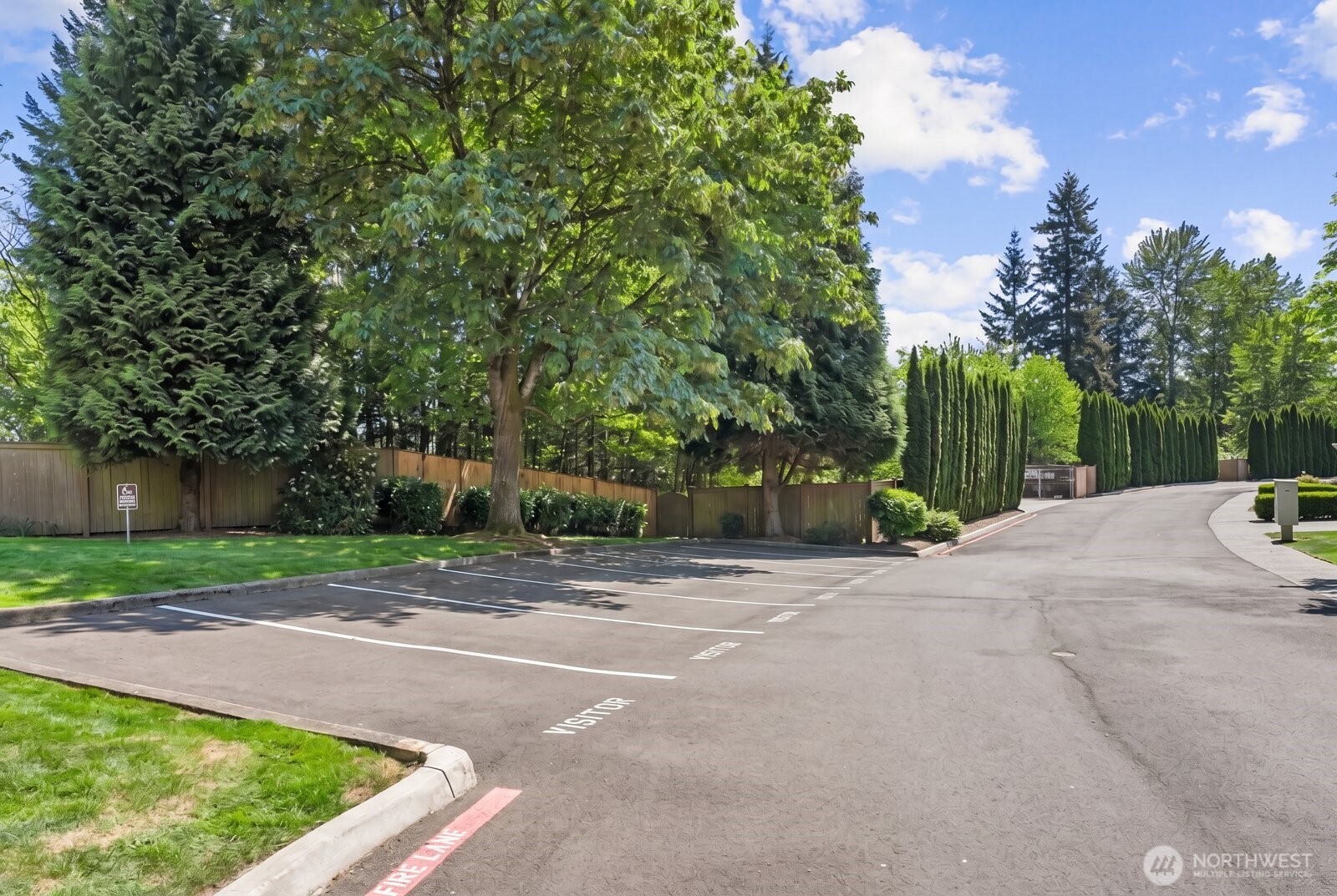 Plenty of guest parking right across from the property