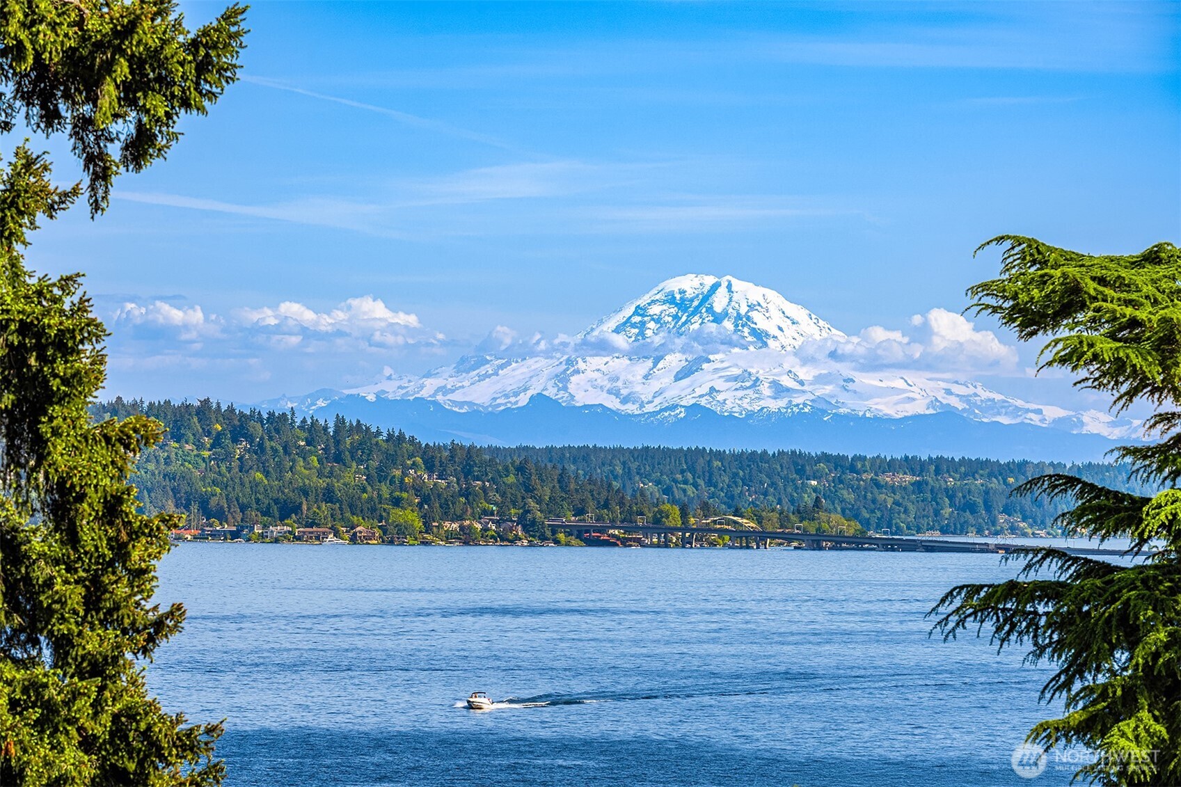 Mt Rainier.