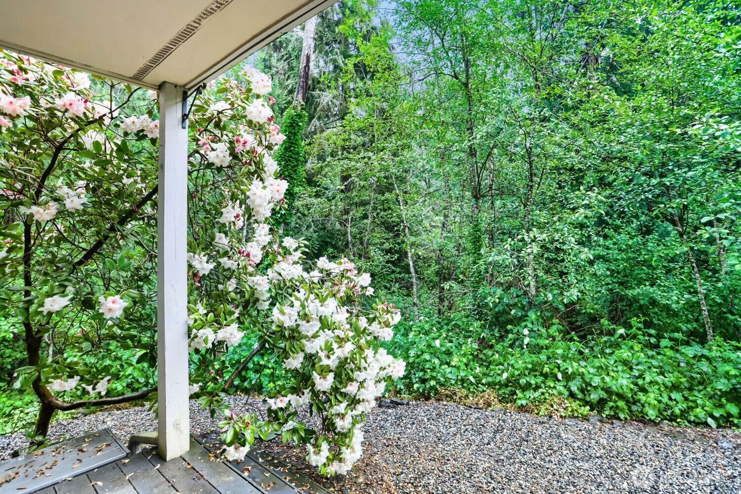 Private Patio & Trail