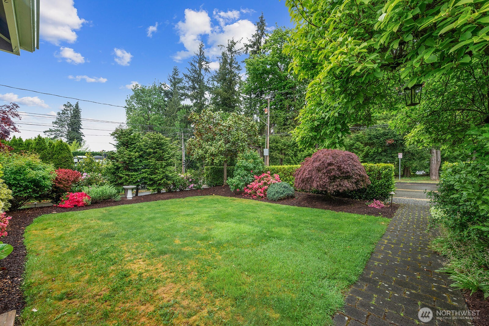 Front Yard