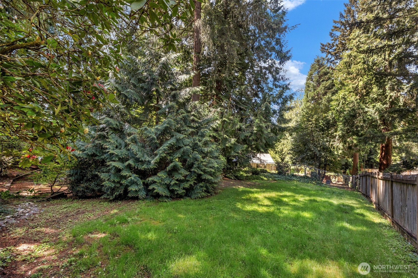 looking west from the patio area.