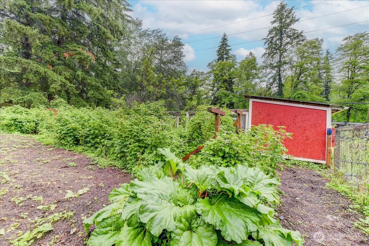Organic garden fully irrigated from the dedicated irrigation well.