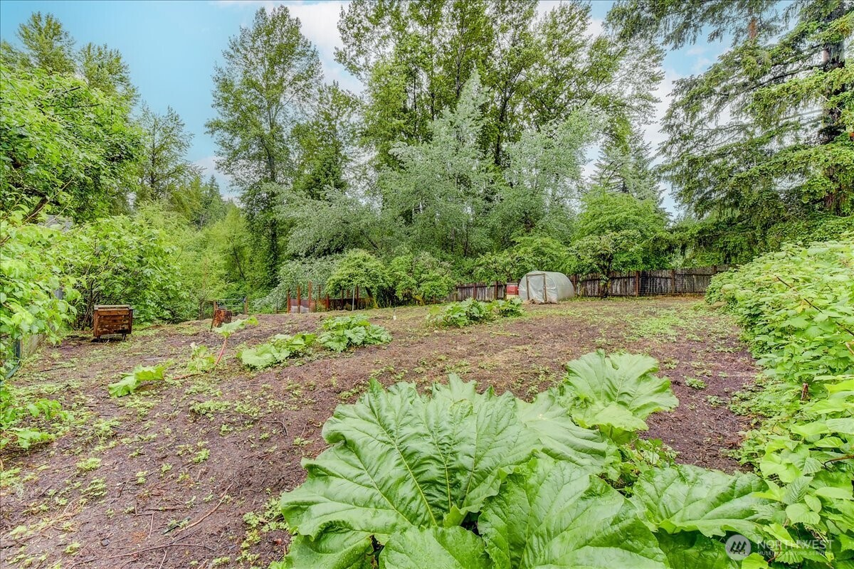 rhubarb, raspberries, and so much more in this organic garden
