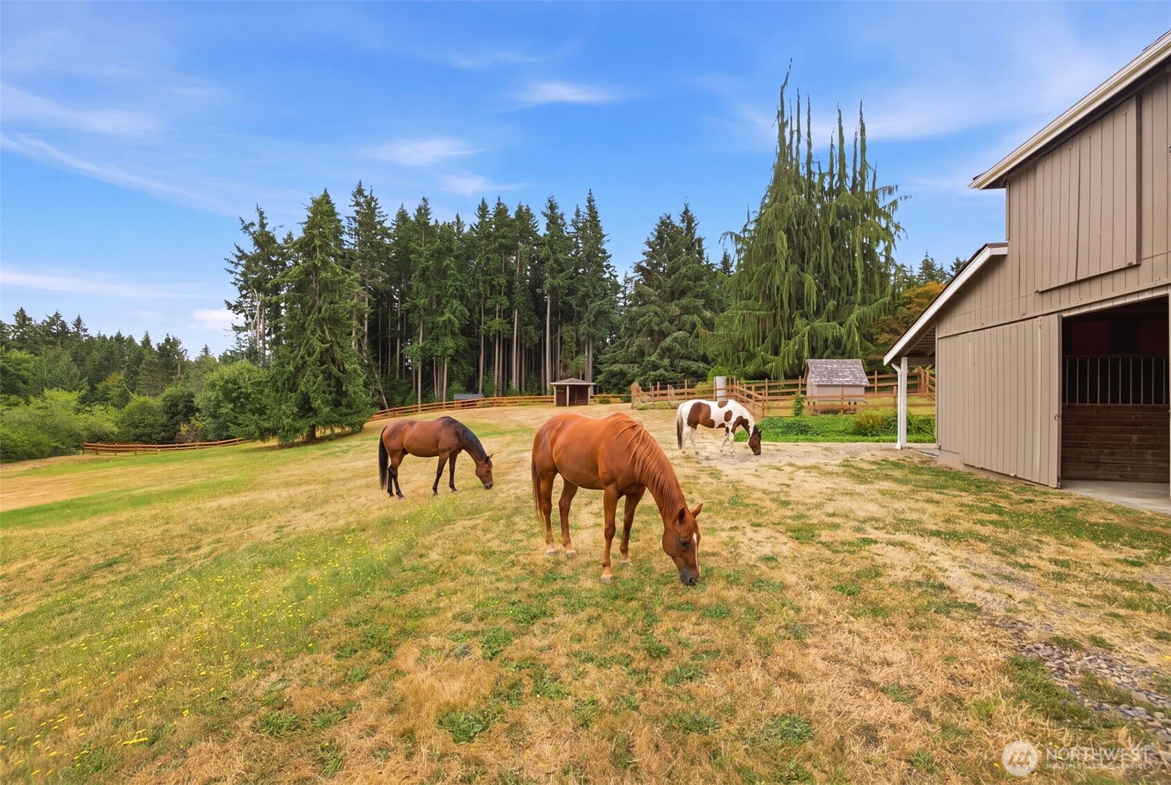 Horses are AI generated