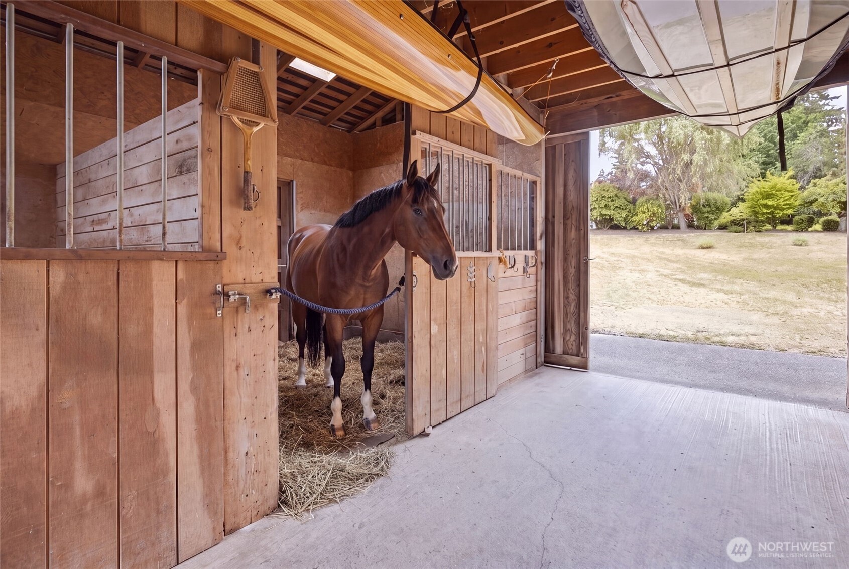 Horse is AI generated