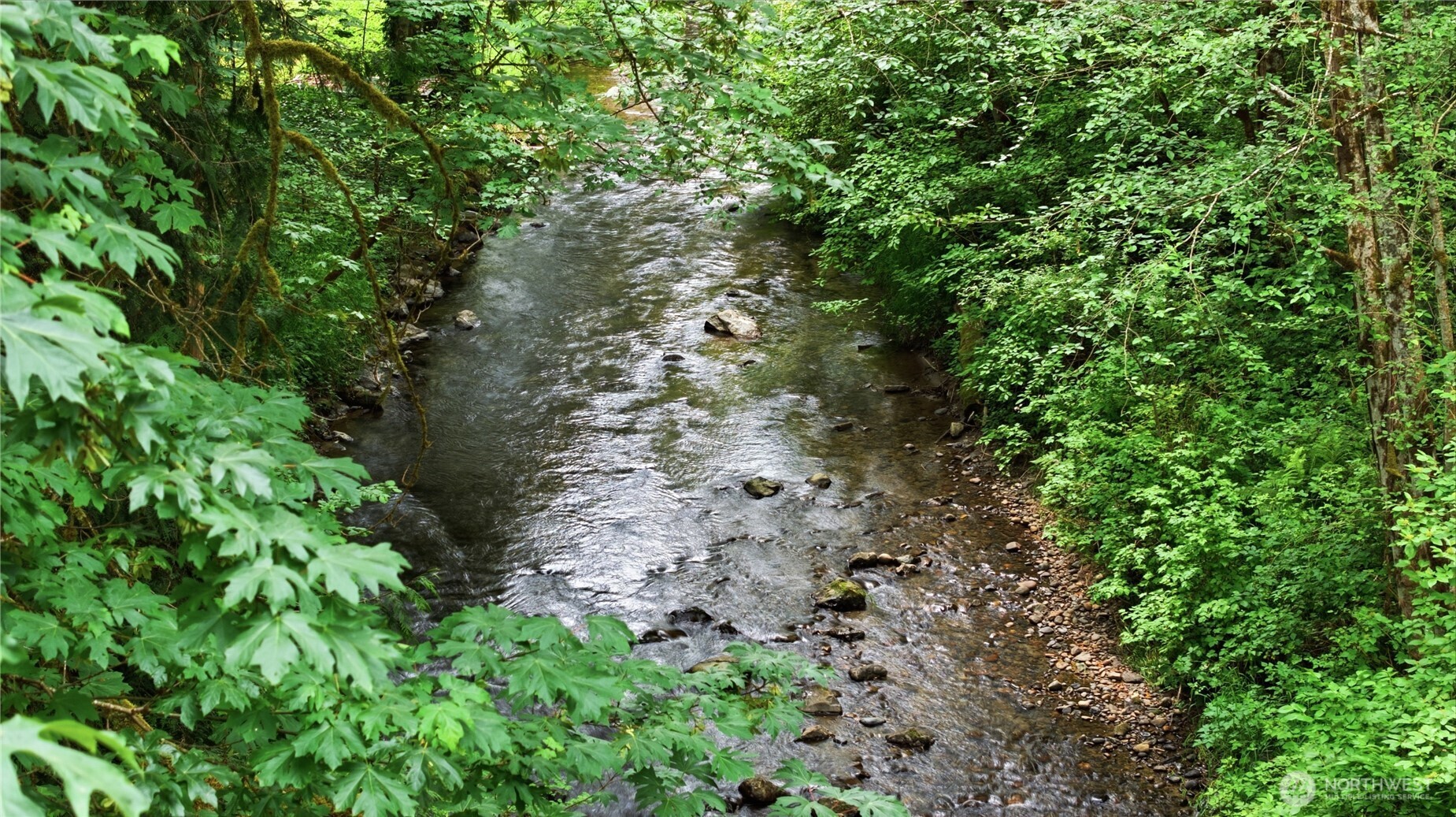 /NWM2544075/NWM2544075-38.jpg