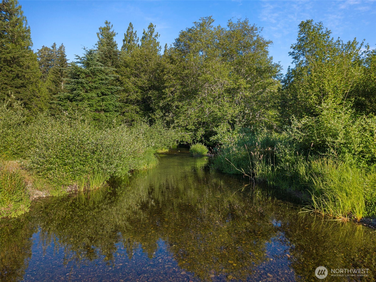 /NWM2549677/NWM2549677-16.jpg