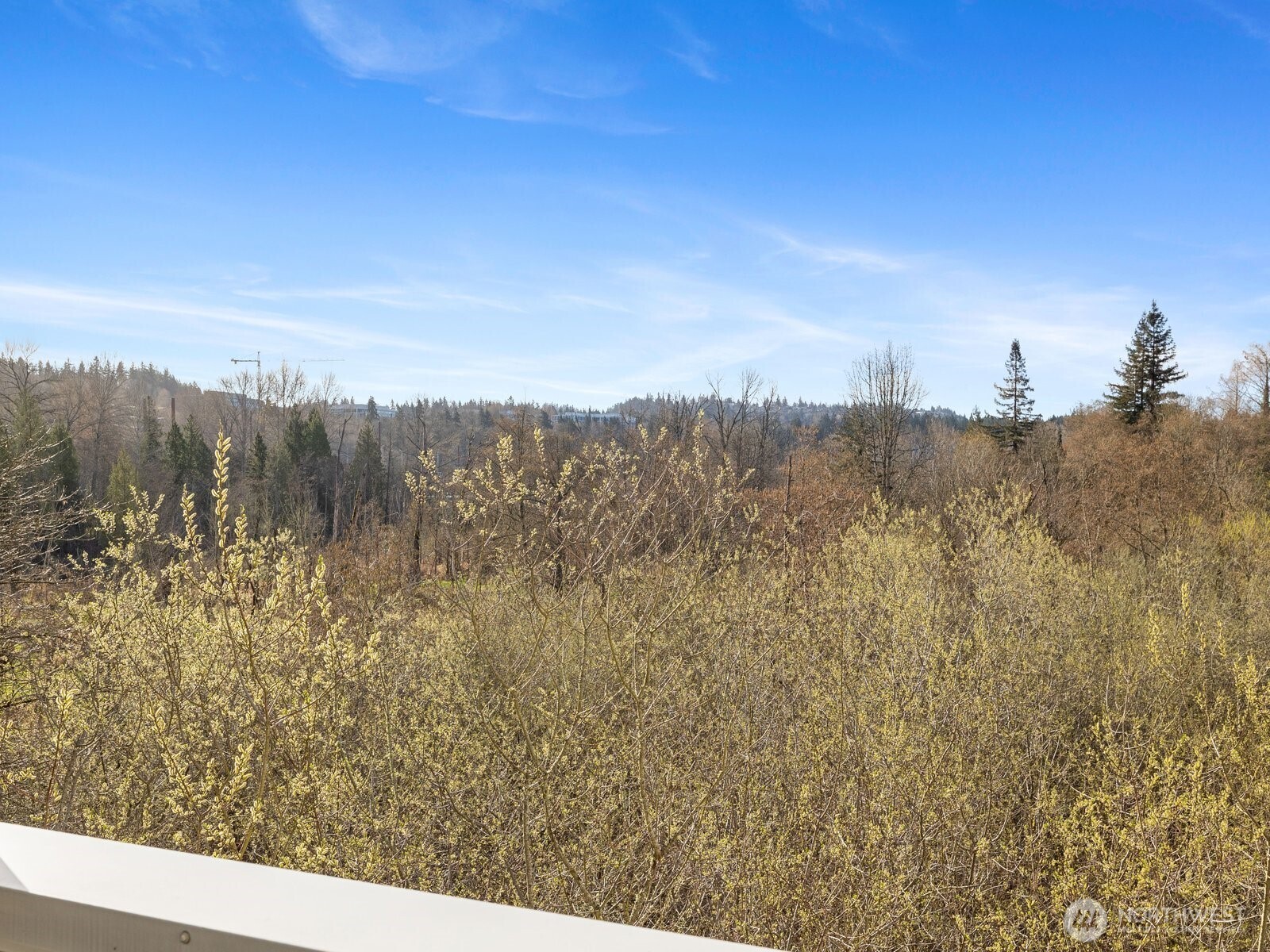 Greenbelt and privacy galore. Enjoy your morning coffee or evening wine from your private patio.