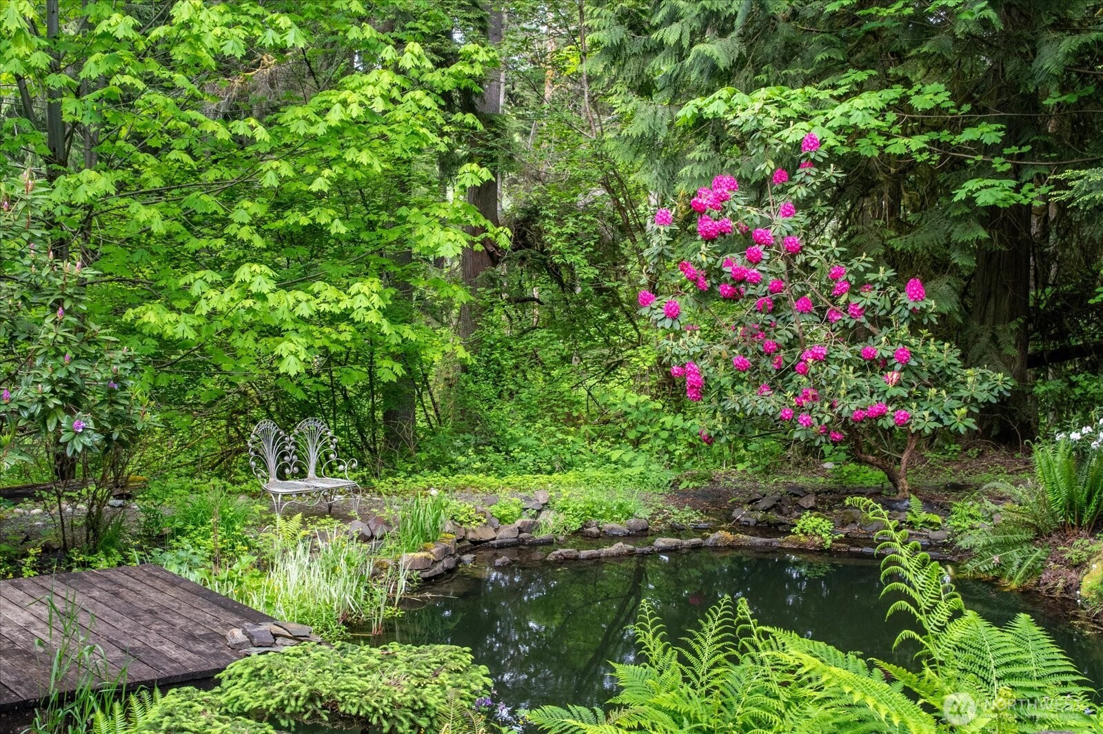 15 foot deep plunge pool with jumping platform and stone steps for easy access