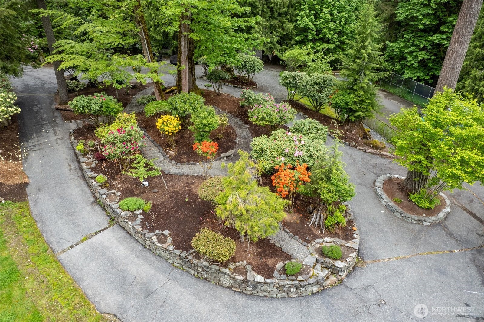 Rare and special specimen trees plus an orchard with Apple, pear, and plum fruit-bearing trees